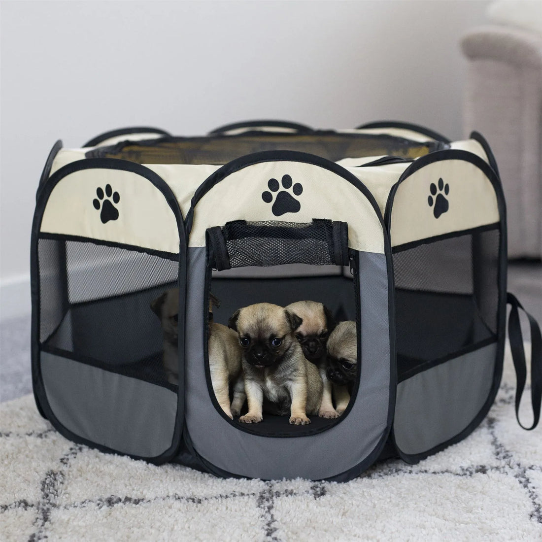 Real Pet Owners Share Their Top Playpen Tips for New Puppy Parents